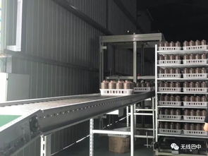 巴中,你變了 三天直播,又來看你