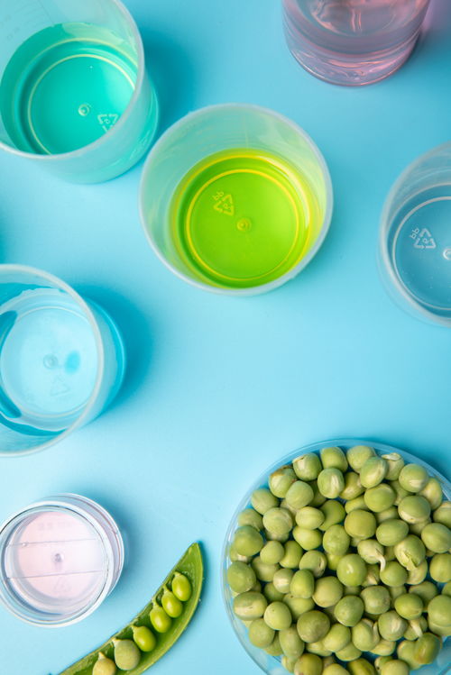 實驗試劑豌豆農(nóng)業(yè)科技食品培育攝影圖 攝影圖 下載至來源處