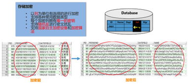 安華金和數(shù)據(jù)安全治理框架下的數(shù)據(jù)內(nèi)部存儲(chǔ)安全技術(shù) 數(shù)據(jù)處理與存儲(chǔ)服務(wù)的關(guān)鍵實(shí)踐